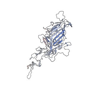 0535_6nxe_k_v1-2
Cryo-EM Reconstruction of Protease-Activateable Adeno-Associated Virus 9 (AAV9-L001)