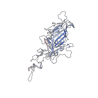 0535_6nxe_k_v1-3
Cryo-EM Reconstruction of Protease-Activateable Adeno-Associated Virus 9 (AAV9-L001)