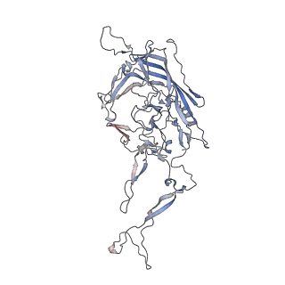 0535_6nxe_l_v1-2
Cryo-EM Reconstruction of Protease-Activateable Adeno-Associated Virus 9 (AAV9-L001)
