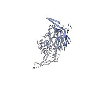 0535_6nxe_m_v1-2
Cryo-EM Reconstruction of Protease-Activateable Adeno-Associated Virus 9 (AAV9-L001)