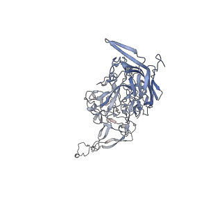 0535_6nxe_m_v1-3
Cryo-EM Reconstruction of Protease-Activateable Adeno-Associated Virus 9 (AAV9-L001)