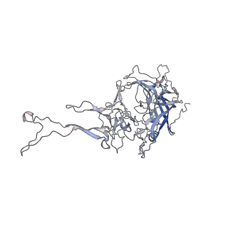 0535_6nxe_n_v1-2
Cryo-EM Reconstruction of Protease-Activateable Adeno-Associated Virus 9 (AAV9-L001)