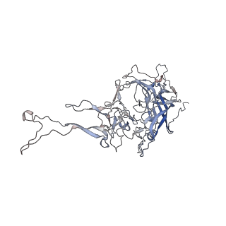 0535_6nxe_n_v1-3
Cryo-EM Reconstruction of Protease-Activateable Adeno-Associated Virus 9 (AAV9-L001)