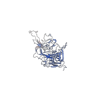 0535_6nxe_o_v1-2
Cryo-EM Reconstruction of Protease-Activateable Adeno-Associated Virus 9 (AAV9-L001)