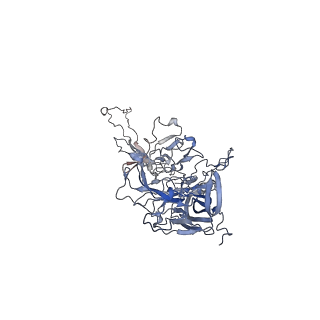 0535_6nxe_o_v1-3
Cryo-EM Reconstruction of Protease-Activateable Adeno-Associated Virus 9 (AAV9-L001)