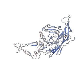 0535_6nxe_q_v1-2
Cryo-EM Reconstruction of Protease-Activateable Adeno-Associated Virus 9 (AAV9-L001)