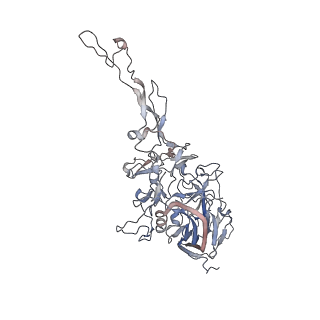 0535_6nxe_r_v1-2
Cryo-EM Reconstruction of Protease-Activateable Adeno-Associated Virus 9 (AAV9-L001)