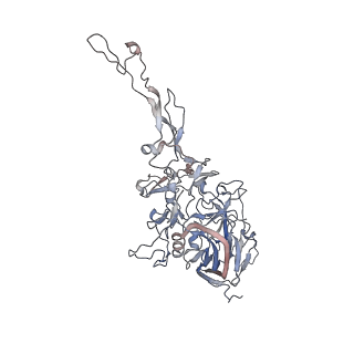 0535_6nxe_r_v1-3
Cryo-EM Reconstruction of Protease-Activateable Adeno-Associated Virus 9 (AAV9-L001)