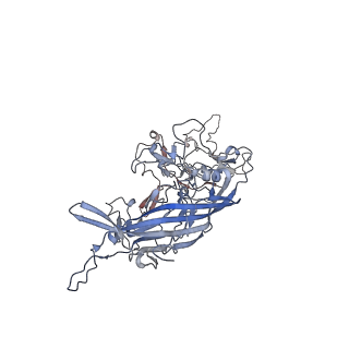 0535_6nxe_s_v1-2
Cryo-EM Reconstruction of Protease-Activateable Adeno-Associated Virus 9 (AAV9-L001)