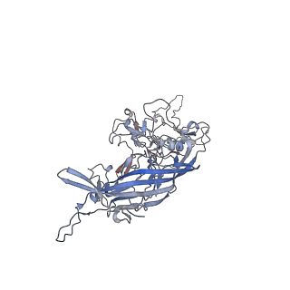 0535_6nxe_s_v1-3
Cryo-EM Reconstruction of Protease-Activateable Adeno-Associated Virus 9 (AAV9-L001)