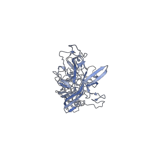 0535_6nxe_u_v1-2
Cryo-EM Reconstruction of Protease-Activateable Adeno-Associated Virus 9 (AAV9-L001)