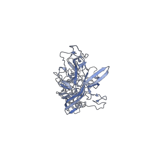 0535_6nxe_u_v1-3
Cryo-EM Reconstruction of Protease-Activateable Adeno-Associated Virus 9 (AAV9-L001)