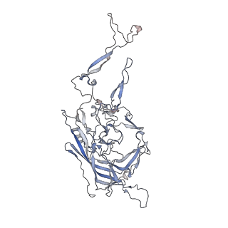 0535_6nxe_v_v1-2
Cryo-EM Reconstruction of Protease-Activateable Adeno-Associated Virus 9 (AAV9-L001)