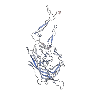 0535_6nxe_v_v1-3
Cryo-EM Reconstruction of Protease-Activateable Adeno-Associated Virus 9 (AAV9-L001)