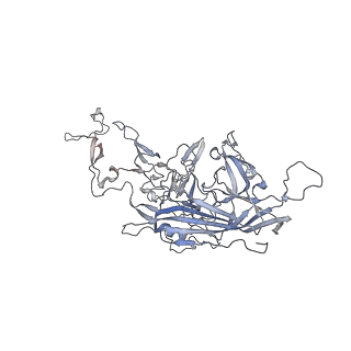 0535_6nxe_w_v1-2
Cryo-EM Reconstruction of Protease-Activateable Adeno-Associated Virus 9 (AAV9-L001)