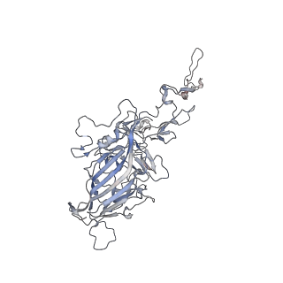 0535_6nxe_x_v1-2
Cryo-EM Reconstruction of Protease-Activateable Adeno-Associated Virus 9 (AAV9-L001)