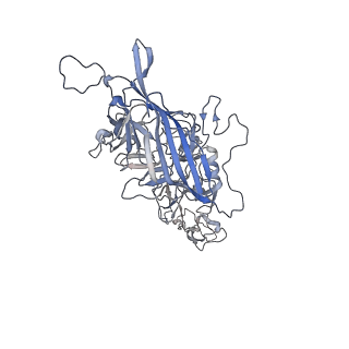 0535_6nxe_y_v1-2
Cryo-EM Reconstruction of Protease-Activateable Adeno-Associated Virus 9 (AAV9-L001)