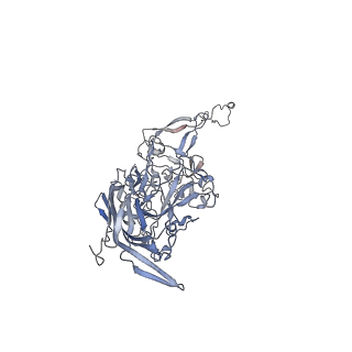0535_6nxe_z_v1-2
Cryo-EM Reconstruction of Protease-Activateable Adeno-Associated Virus 9 (AAV9-L001)