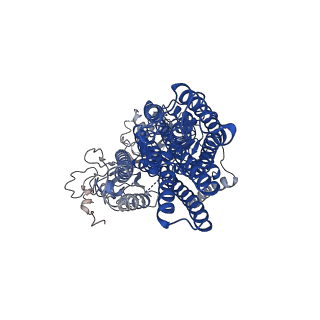 12638_7nxf_A_v1-1
Structure of the fungal plasma membrane proton pump Pma1 in its auto-inhibited state - monomer unit