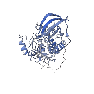 0541_6nyb_A_v1-2
Structure of a MAPK pathway complex