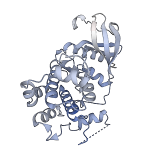 0541_6nyb_B_v1-2
Structure of a MAPK pathway complex