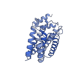 0541_6nyb_C_v1-2
Structure of a MAPK pathway complex