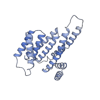 0541_6nyb_D_v1-2
Structure of a MAPK pathway complex