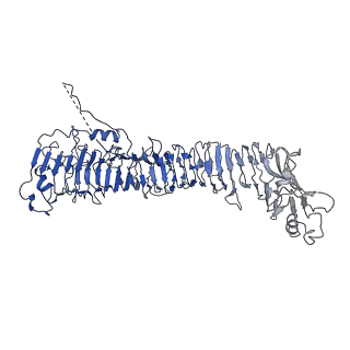 0542_6nyf_A_v1-3
Helicobacter pylori Vacuolating Cytotoxin A Oligomeric Assembly 1 (OA-1)