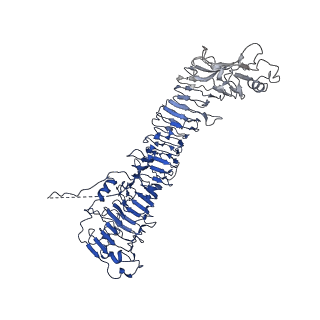 0542_6nyf_B_v1-3
Helicobacter pylori Vacuolating Cytotoxin A Oligomeric Assembly 1 (OA-1)