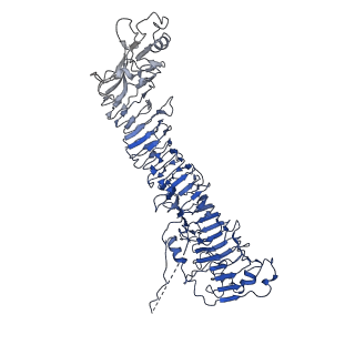 0542_6nyf_C_v1-3
Helicobacter pylori Vacuolating Cytotoxin A Oligomeric Assembly 1 (OA-1)