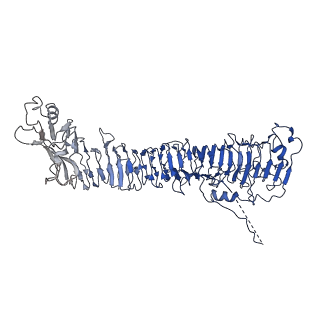 0542_6nyf_D_v1-3
Helicobacter pylori Vacuolating Cytotoxin A Oligomeric Assembly 1 (OA-1)