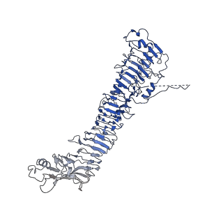 0542_6nyf_E_v1-3
Helicobacter pylori Vacuolating Cytotoxin A Oligomeric Assembly 1 (OA-1)