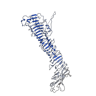 0542_6nyf_F_v1-3
Helicobacter pylori Vacuolating Cytotoxin A Oligomeric Assembly 1 (OA-1)