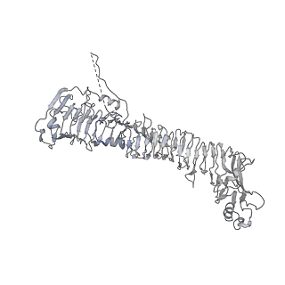 0543_6nyg_A_v1-3
Helicobacter pylori Vacuolating Cytotoxin A Oligomeric Assembly 2a (OA-2a)
