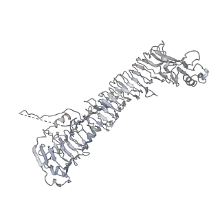 0543_6nyg_B_v1-3
Helicobacter pylori Vacuolating Cytotoxin A Oligomeric Assembly 2a (OA-2a)
