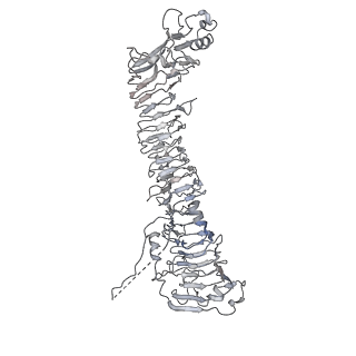 0543_6nyg_C_v1-3
Helicobacter pylori Vacuolating Cytotoxin A Oligomeric Assembly 2a (OA-2a)