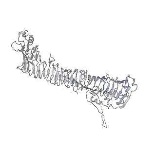 0543_6nyg_D_v1-3
Helicobacter pylori Vacuolating Cytotoxin A Oligomeric Assembly 2a (OA-2a)