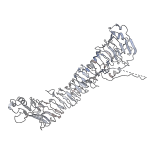 0543_6nyg_E_v1-3
Helicobacter pylori Vacuolating Cytotoxin A Oligomeric Assembly 2a (OA-2a)