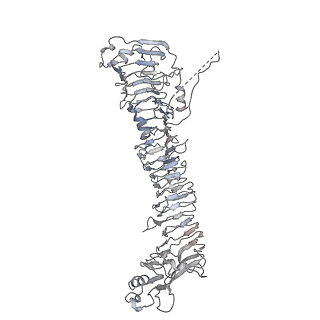 0543_6nyg_F_v1-3
Helicobacter pylori Vacuolating Cytotoxin A Oligomeric Assembly 2a (OA-2a)
