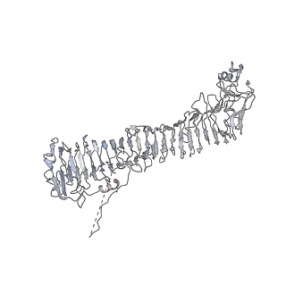 0543_6nyg_G_v1-3
Helicobacter pylori Vacuolating Cytotoxin A Oligomeric Assembly 2a (OA-2a)