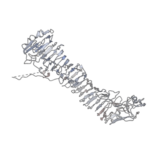 0543_6nyg_H_v1-3
Helicobacter pylori Vacuolating Cytotoxin A Oligomeric Assembly 2a (OA-2a)