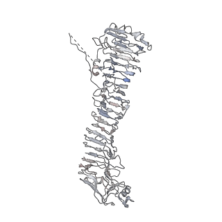 0543_6nyg_I_v1-3
Helicobacter pylori Vacuolating Cytotoxin A Oligomeric Assembly 2a (OA-2a)