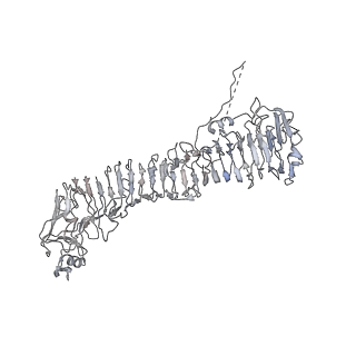 0543_6nyg_J_v1-3
Helicobacter pylori Vacuolating Cytotoxin A Oligomeric Assembly 2a (OA-2a)