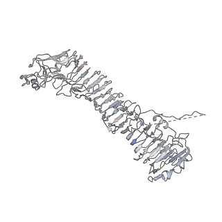 0543_6nyg_K_v1-3
Helicobacter pylori Vacuolating Cytotoxin A Oligomeric Assembly 2a (OA-2a)