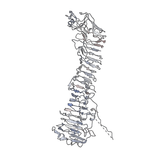 0543_6nyg_L_v1-3
Helicobacter pylori Vacuolating Cytotoxin A Oligomeric Assembly 2a (OA-2a)