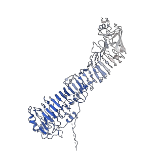 0544_6nyj_A_v1-3
Helicobacter pylori Vacuolating Cytotoxin A Oligomeric Assembly 2b (OA-2b)