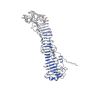 0544_6nyj_B_v1-3
Helicobacter pylori Vacuolating Cytotoxin A Oligomeric Assembly 2b (OA-2b)