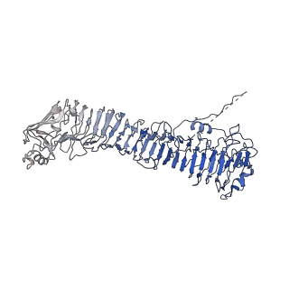 0544_6nyj_C_v1-3
Helicobacter pylori Vacuolating Cytotoxin A Oligomeric Assembly 2b (OA-2b)