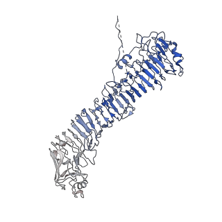 0544_6nyj_D_v1-3
Helicobacter pylori Vacuolating Cytotoxin A Oligomeric Assembly 2b (OA-2b)