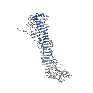0544_6nyj_E_v1-3
Helicobacter pylori Vacuolating Cytotoxin A Oligomeric Assembly 2b (OA-2b)